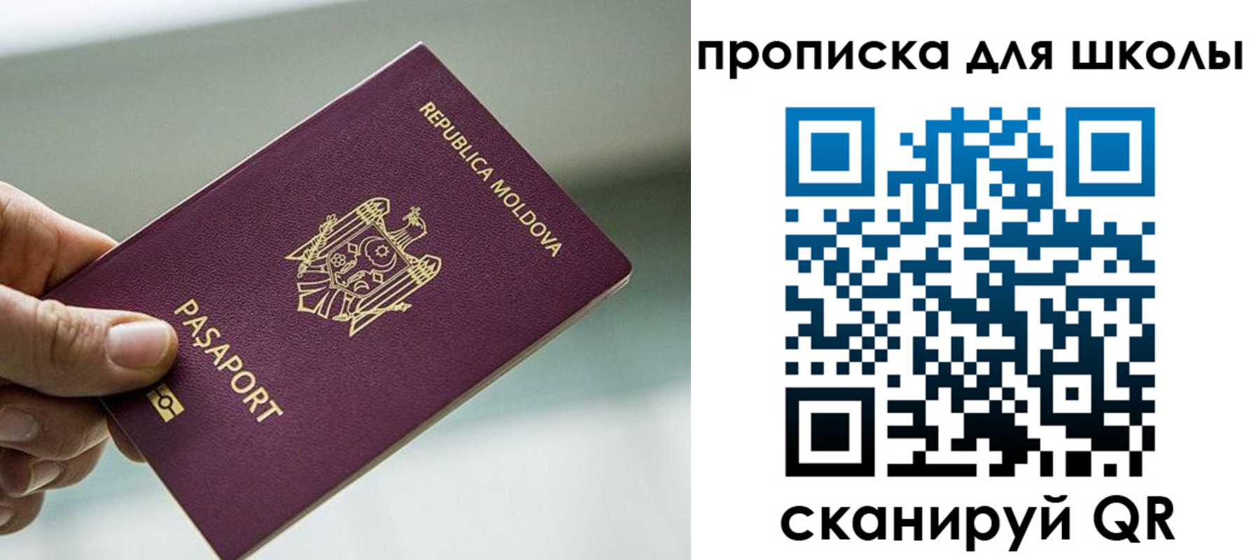 прописка в квартире в Пушкино